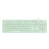 Mint green keyboard on a white background