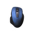 Dual Receivers Wireless Mouse MP-752W